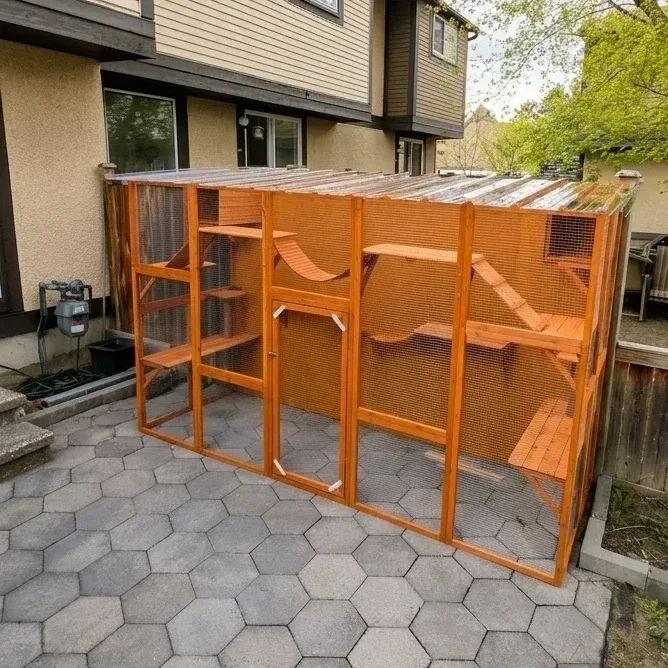 Catio — photo 2