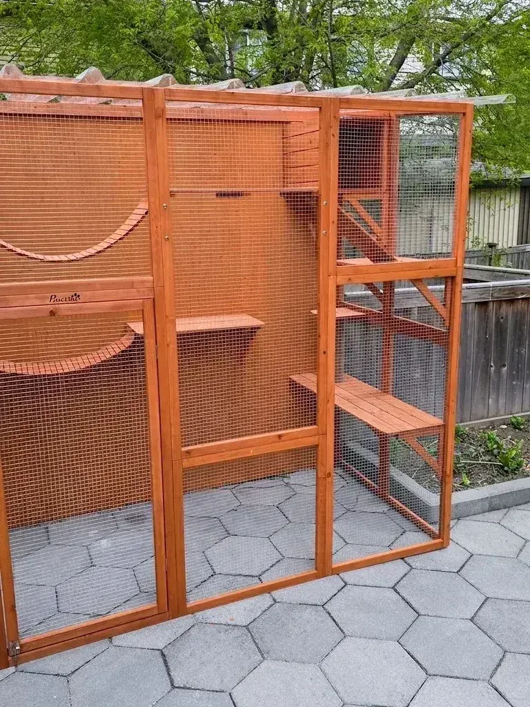 Catio — photo 3