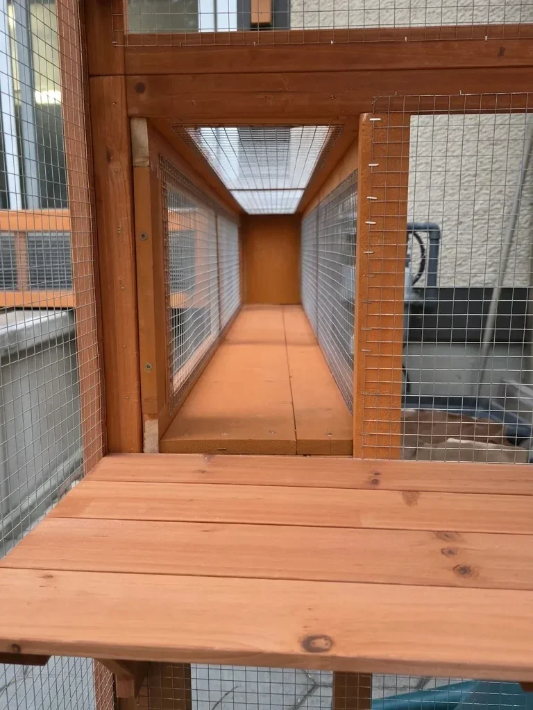 Catio — photo 5
