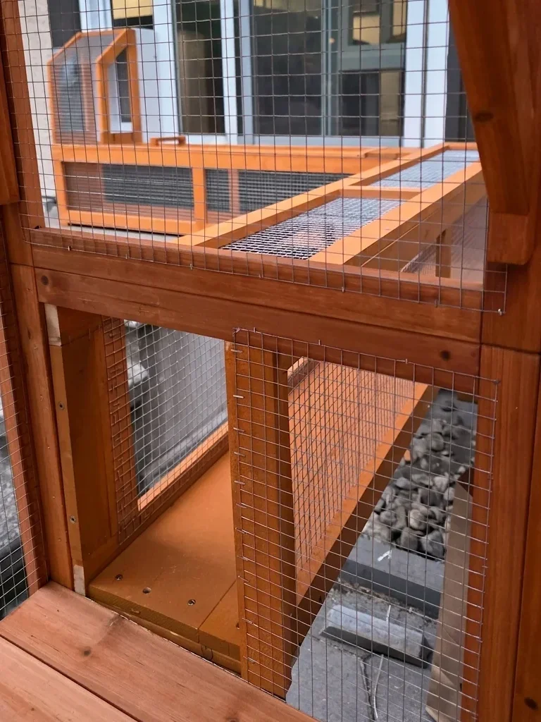 Catio — photo 4