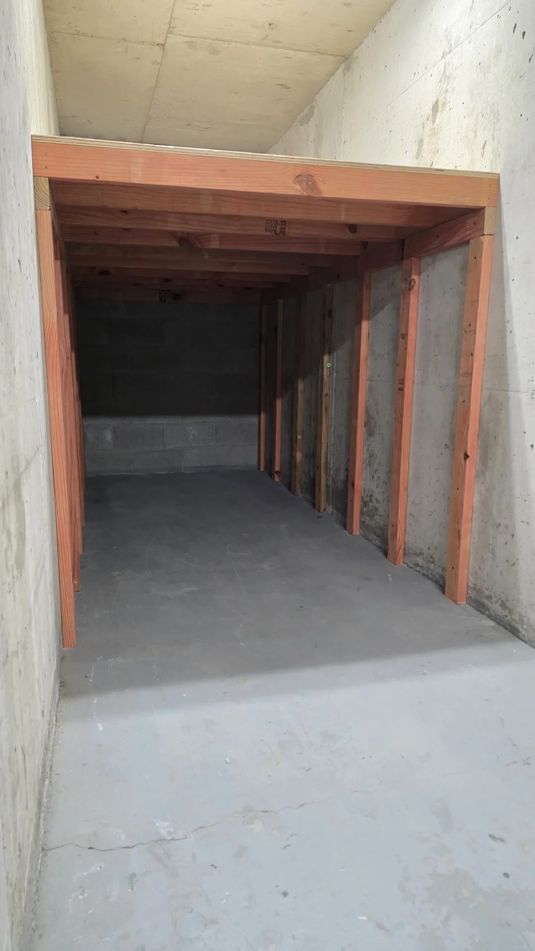 Heavy Storage Shelf in Ottawa Condo — photo 2