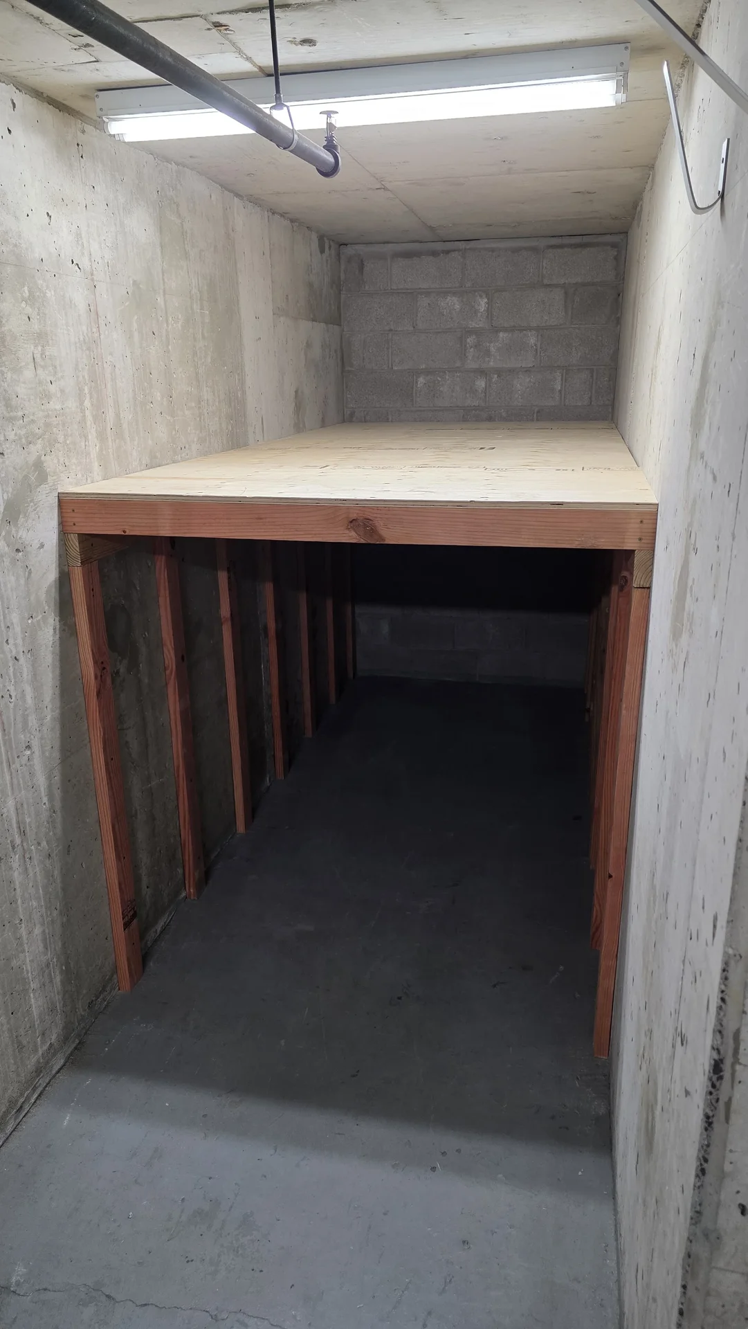 Heavy Storage Shelf in Ottawa Condo